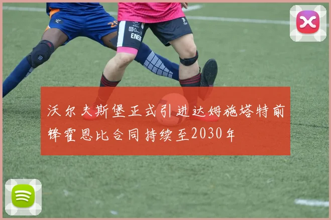 沃尔夫斯堡正式引进达姆施塔特前锋霍恩比合同持续至2030年